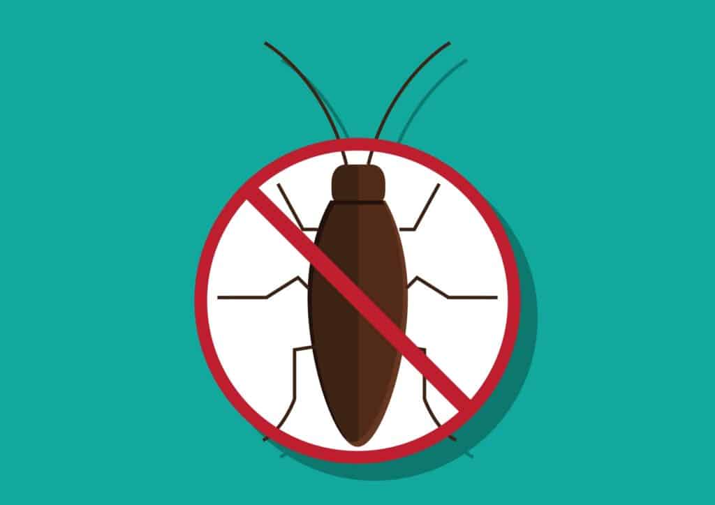 Pest Control Do’s and Don’ts 2