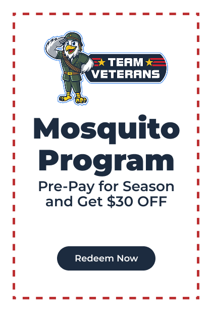 Mosquito Program
