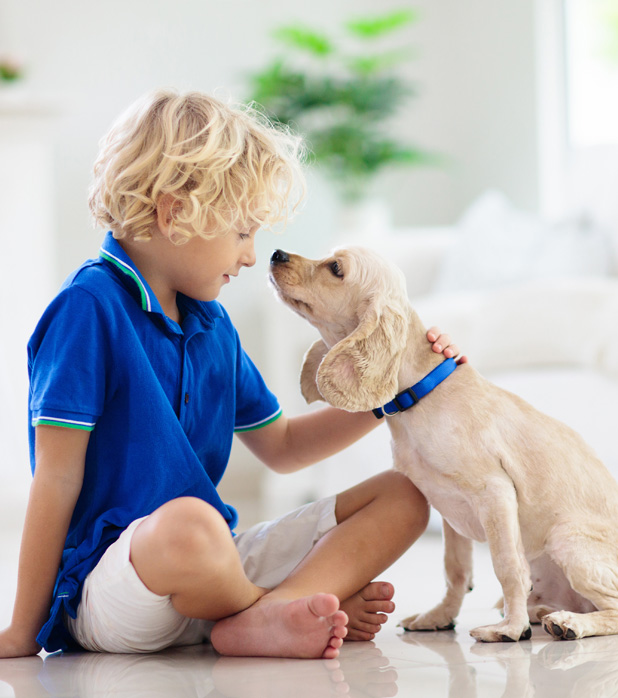 Experienced Pest Control for Myrtle Beach Residents