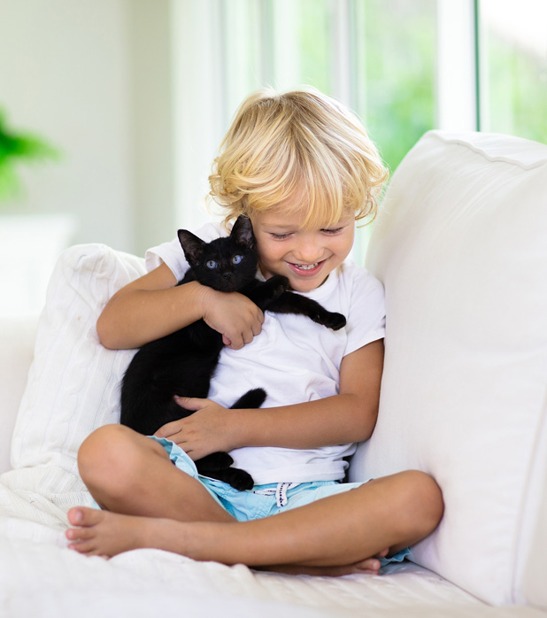 Expert Pest Control Services in Irmo, South Carolina