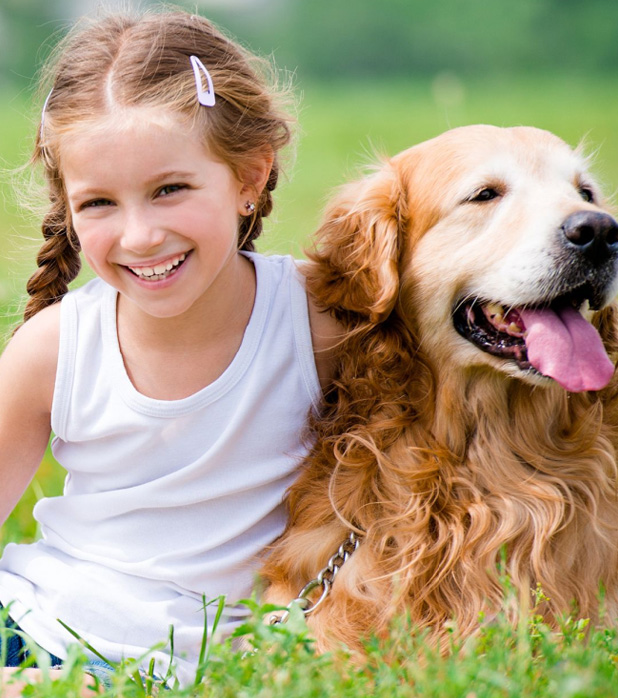 Pontiac Pest Control Services