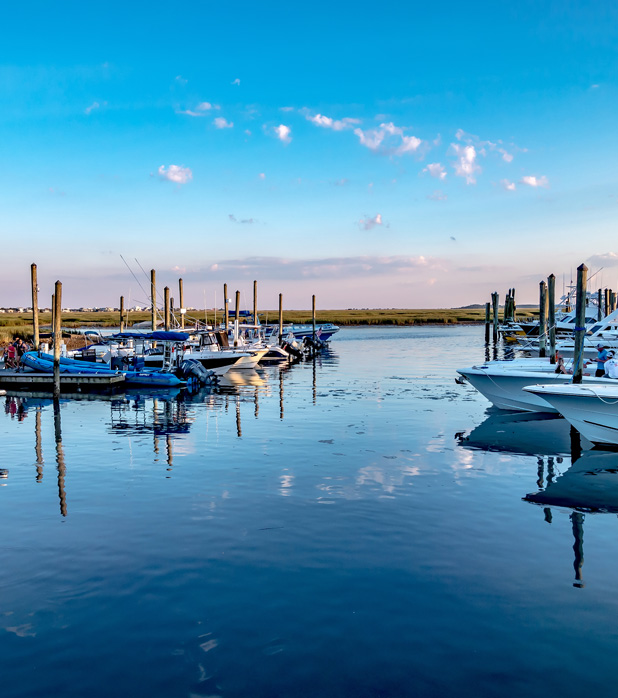 Practical Pest Control for Murrells Inlet