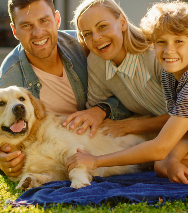 Trusted Pest Control Services in Dentsville, South Carolina