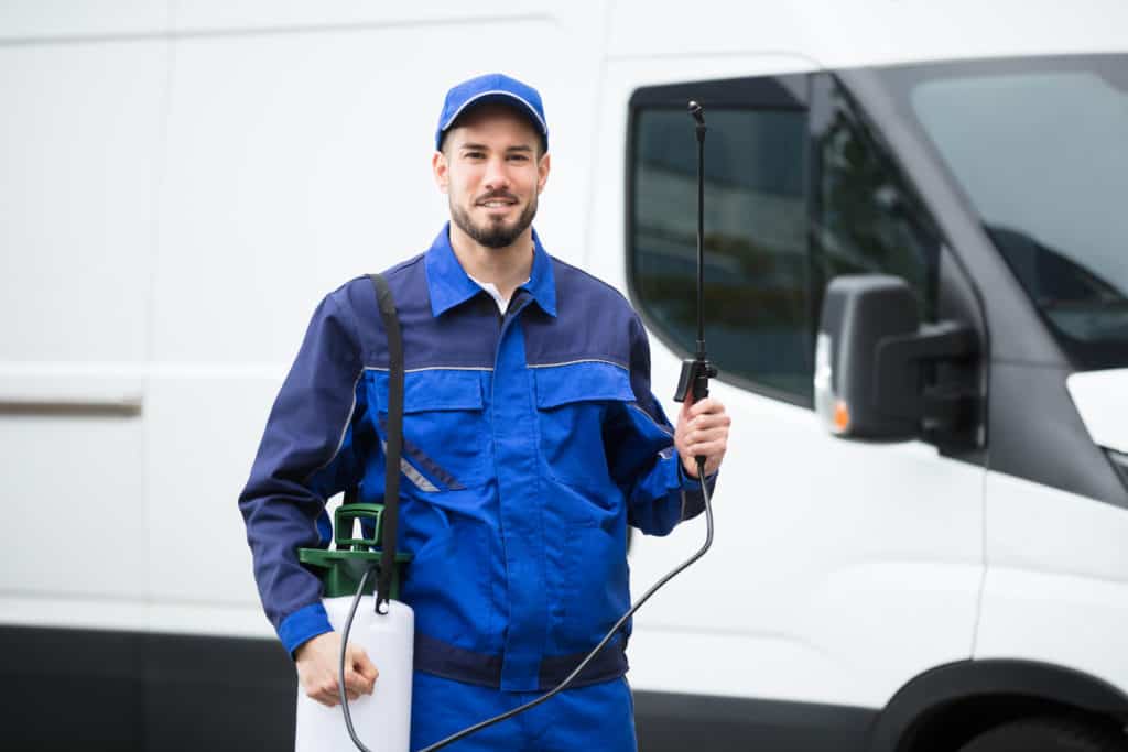 10 Benefits Of Hiring A Professional Pest Control Company