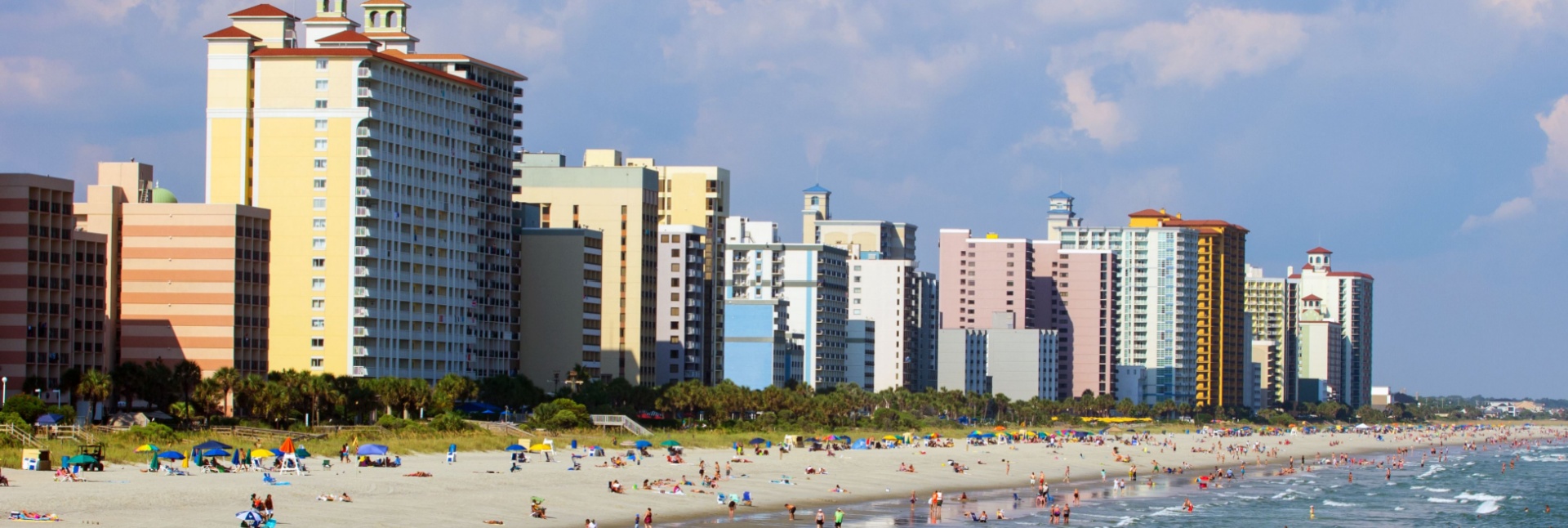 Top 10 Common Household Pests in Myrtle Beach and How to Prevent Them