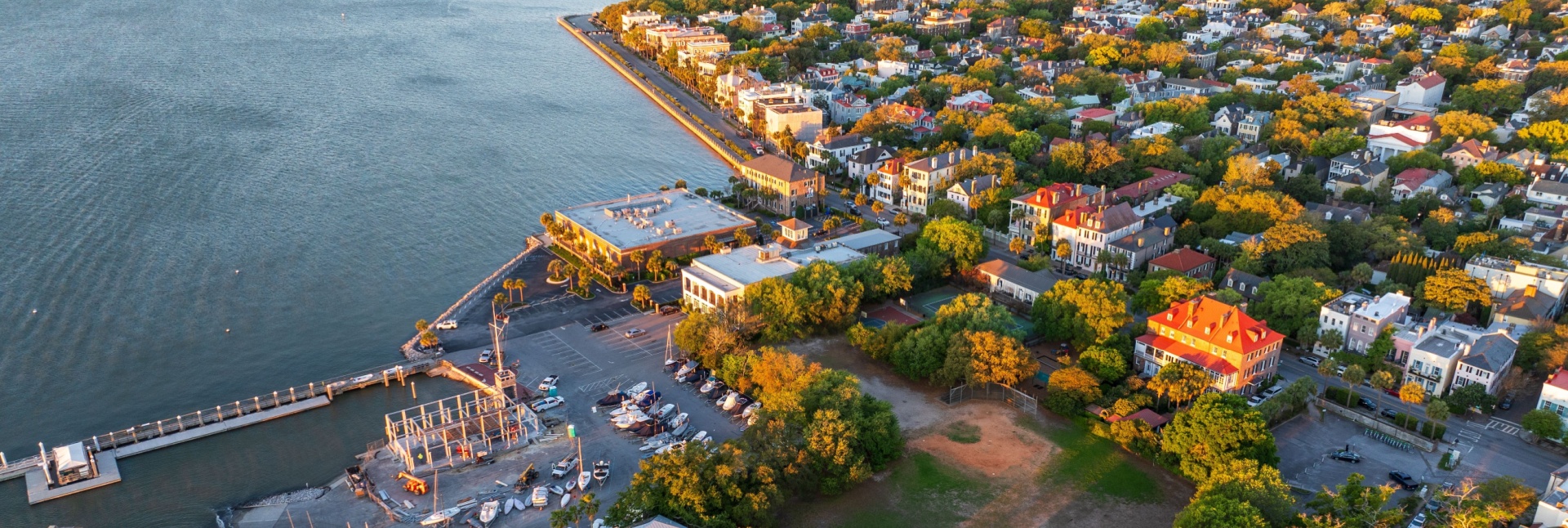 Why Professional Pest Control Is Worth It for Charleston Residents