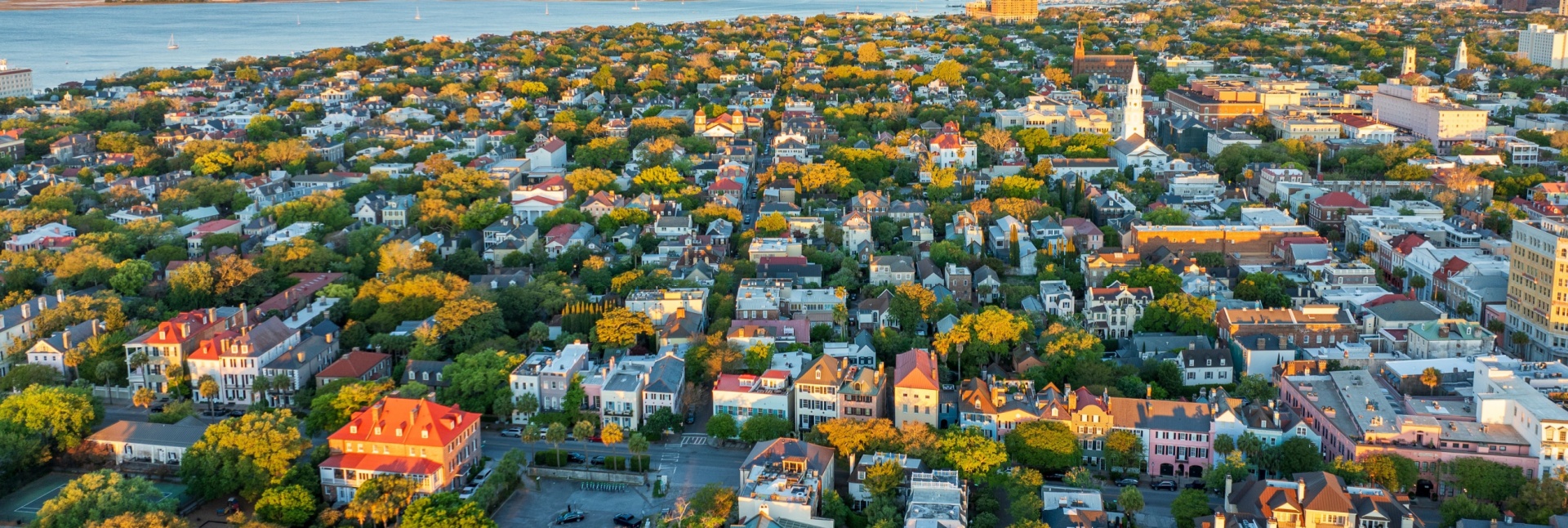 Who Should I Hire for Pest Control in Charleston, SC?