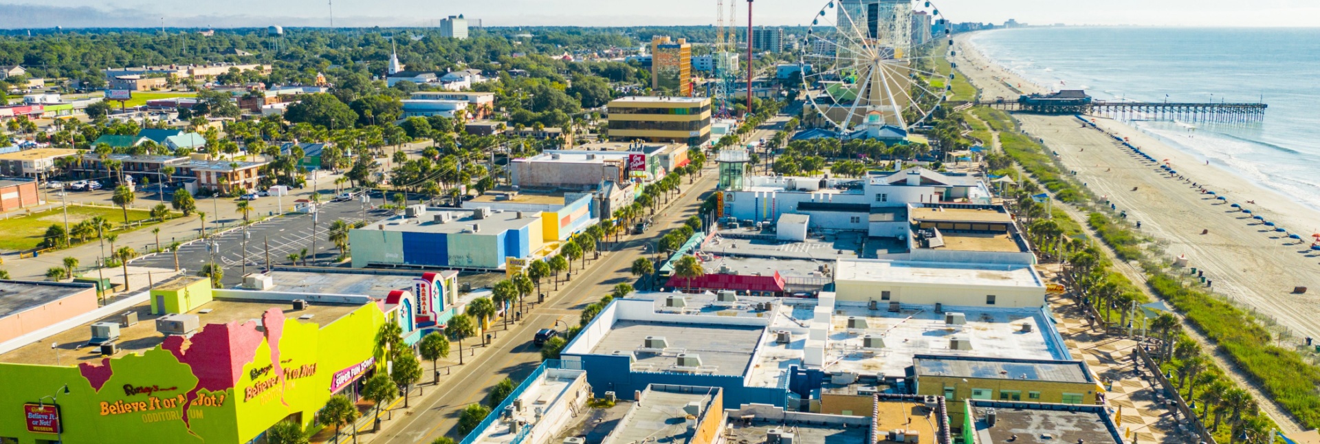 Who Should I Hire for Pest Control in Myrtle Beach, SC?