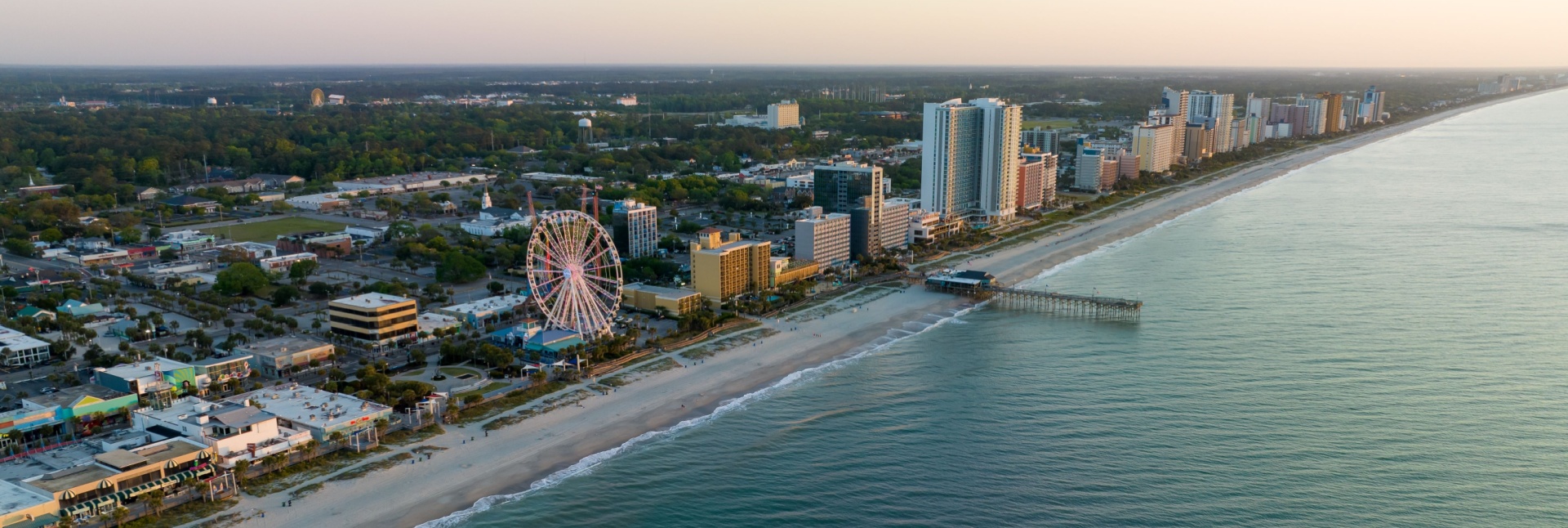 Is DIY Pest Control Effective in Myrtle Beach’s Humid Climate?